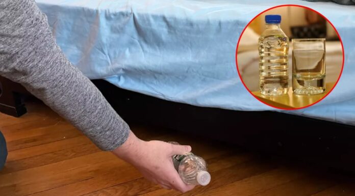 Why You Should Toss a Water Bottle Under the Bed in a Hotel Room