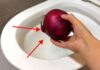 The Magic Onion: A Quick Fix for a Common Household Problem