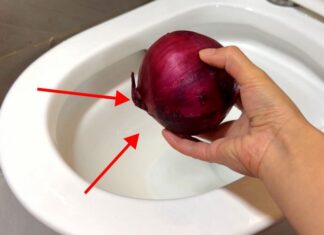 The Magic Onion: A Quick Fix for a Common Household Problem