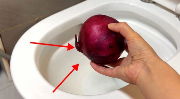 The Magic Onion: A Quick Fix for a Common Household Problem