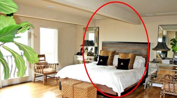 The Bedroom Bedside Must-Haves: Banish Sickness and Poverty with These Two Simple Tricks