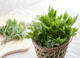 “The Unsung Superfood: Reviving a Chemical-Free Vegetable and Its Surprising Health Benefits When Paired With Eggs”