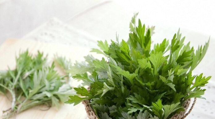 “The Unsung Superfood: Reviving a Chemical-Free Vegetable and Its Surprising Health Benefits When Paired With Eggs”