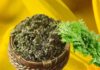 Why Did Our Ancestors Recommend Planting Wormwood in Front of the House? The Significance of Wormwood That Many Are Unaware of.