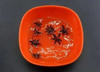 “The Power of Soaking Star Anise in White Vinegar: Double the Value, Double the Household Solutions”
