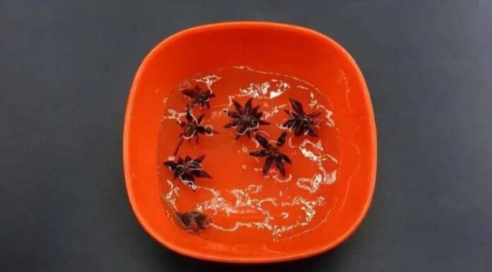 “The Power of Soaking Star Anise in White Vinegar: Double the Value, Double the Household Solutions”