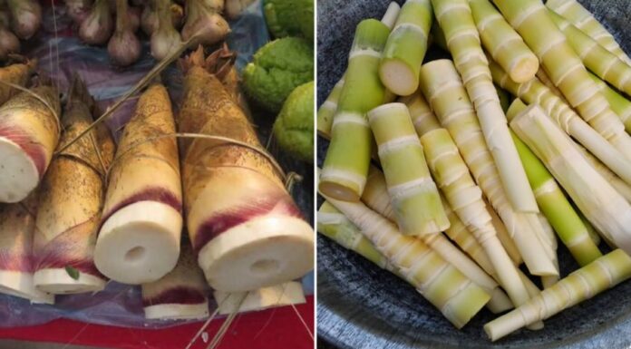 “The Ultimate Guide to Crispy, Long-Lasting Pickled Chili: One Simple Step to Transform your Chili Experience”