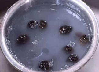 “The Secret Ingredient to Transform Your Escargot Experience: A Tangy Twist to Remove All Traces of Bitterness”