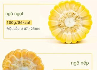 Which Is Better: Sweet Corn or Glutinous Corn?