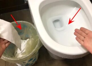 Why Do the Japanese Never Throw Toilet Paper into the Trash? A Cultural Conundrum Unraveled.