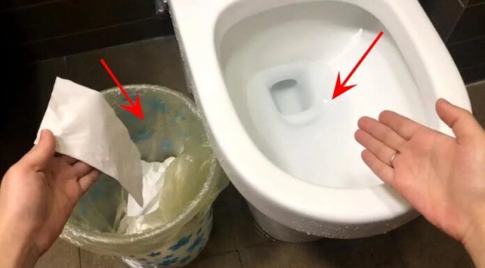 Why Do the Japanese Never Throw Toilet Paper into the Trash? A Cultural Conundrum Unraveled.