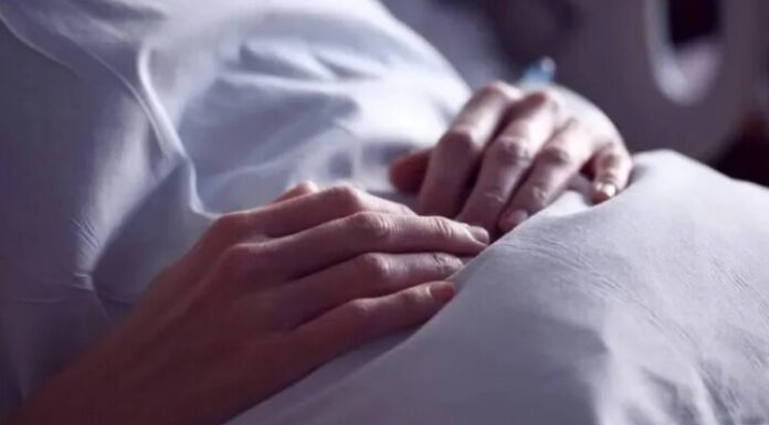 “The Power of Nature: Woman Defeats Cancer with a Simple Vegetable”