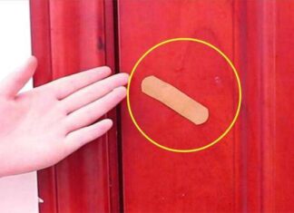 The Smartest Hack to Keep Your Home Pest-Free: The Urgo Tape Trick