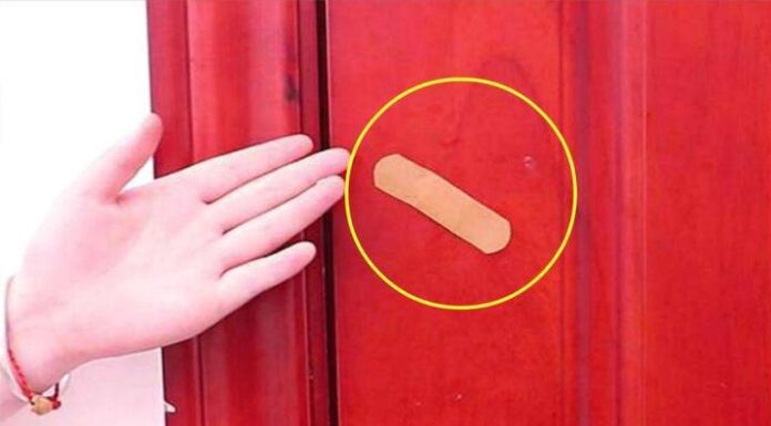 The Smartest Hack to Keep Your Home Pest-Free: The Urgo Tape Trick