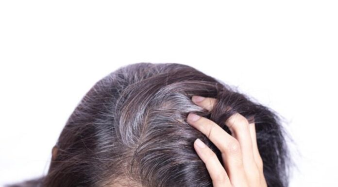 The Silver-Haired Sisterhood: Embracing the Shine, Not the Stereotype.