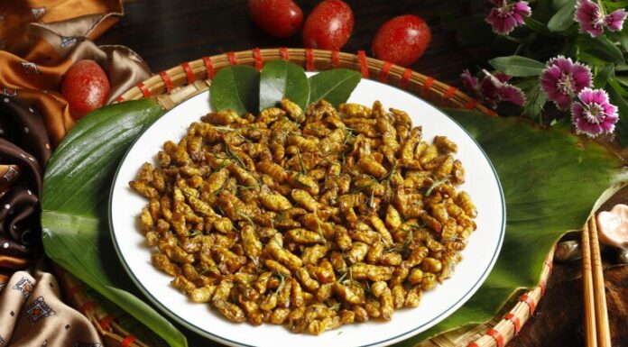 Tasty Delicacy From Phu Tho: A Unique Treat That’s Scary-Good and Packed With Health Benefits