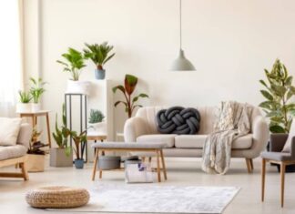 The Living Room: A Haven for Prosperity. Crafting a Space That Keeps the God of Wealth Coming Back for More.