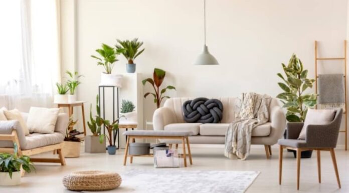 The Living Room: A Haven for Prosperity. Crafting a Space That Keeps the God of Wealth Coming Back for More.