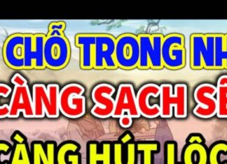 The Four Fortunate Focal Points for Wealth: A Clean Sweep for Prosperity