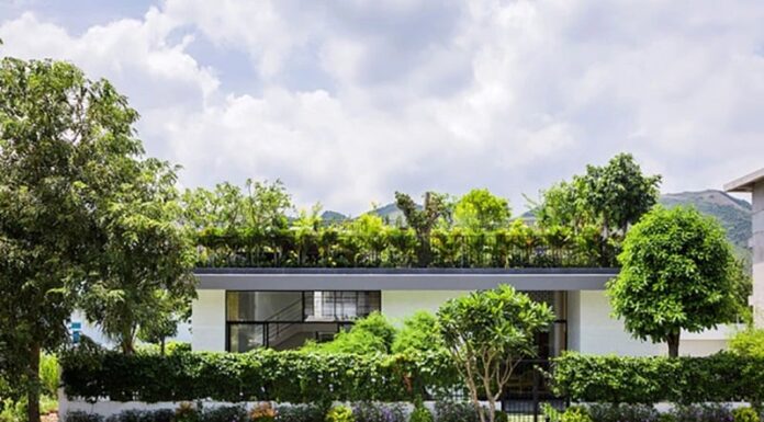 The Three Ingredients for a Happy Home: A Heartwarming Recipe for Family Bliss