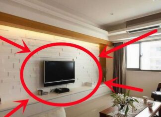 The Dangers of Placing These Four Items Next to Your TV: A Cautionary Tale for the Wealthy