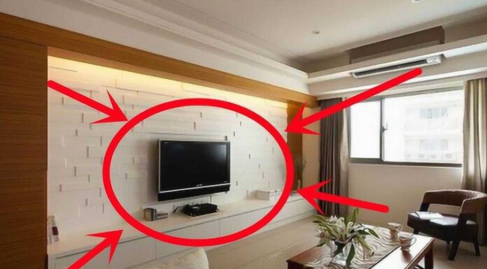 The Dangers of Placing These Four Items Next to Your TV: A Cautionary Tale for the Wealthy