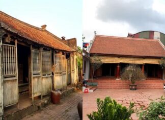 The Four Absolute No-Goes in Feng Shui: A Guide to the Worst Plot Forms and How to Avoid Them