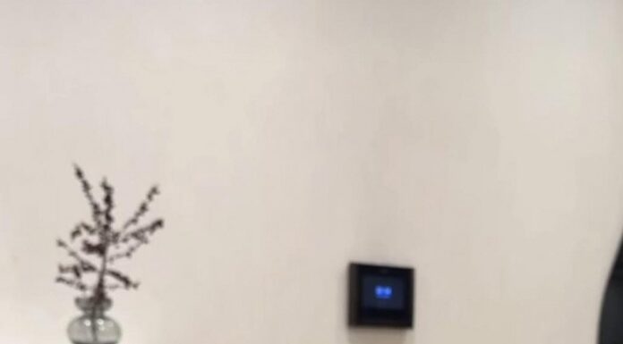 The Secret to Eternal Youth: Unveiling the Yoga Guru’s 2-Million Viewed Magic Bowl Ritual