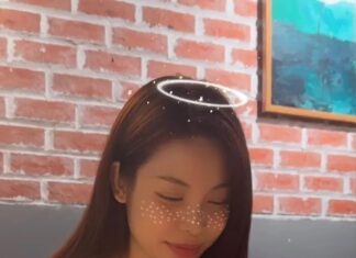 The Stunning Beauty of Đỗ Mỹ Linh’s Younger Sister Captivates the Internet, Sparking Calls for Her to Join the Pageant World