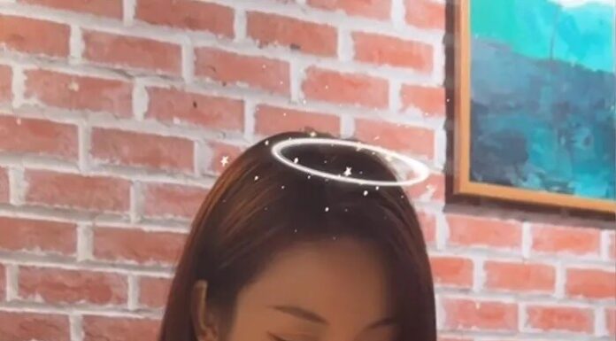 The Stunning Beauty of Đỗ Mỹ Linh’s Younger Sister Captivates the Internet, Sparking Calls for Her to Join the Pageant World