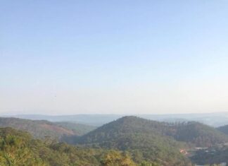 The Perfect Snapshot: Capturing Son Ye Jin’s Super-Long Legs with Hyun Bin, the “National Husband”