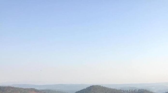 The Perfect Snapshot: Capturing Son Ye Jin’s Super-Long Legs with Hyun Bin, the “National Husband”