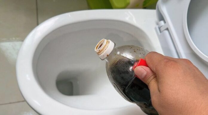 The Magic of Soy Sauce: A Few Drops Can Transform Your Toilet Bowl