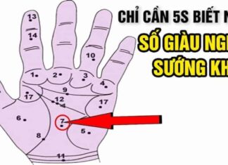 The Secret to Your Fortune: Uncover Your Destiny with This Palmistry Trick!