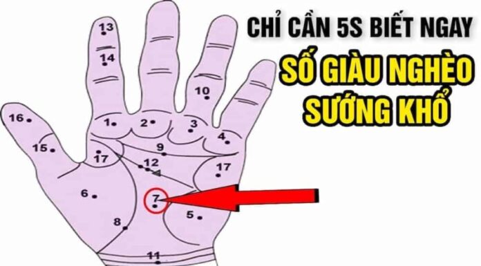 The Secret to Your Fortune: Uncover Your Destiny with This Palmistry Trick!
