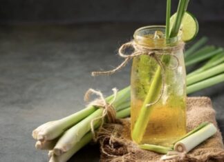 4 Refreshing Lemon Water Recipes to Try at Home