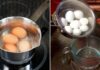 The Magical Properties of Egg Water: A Waste Not, Want Not Concoction