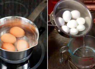The Magical Properties of Egg Water: A Waste Not, Want Not Concoction