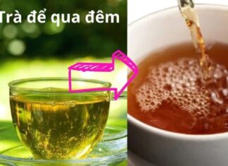 The Unexpected Benefits of Overnight Brewed Tea: You’ll Regret Throwing It Away