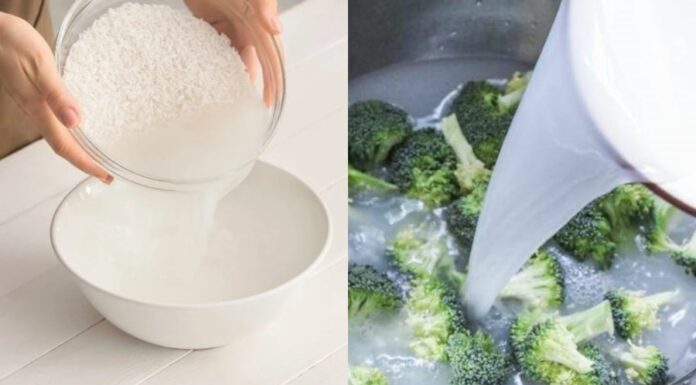 The Surprising Benefits of Rice Water: 9 Reasons to Give It a Try