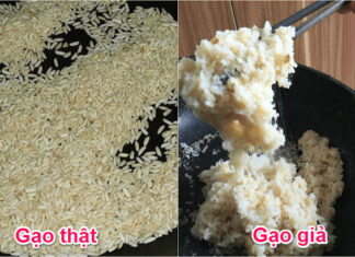 The Ultimate Guide to Rice: Real or Fake?