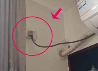 The Power-Saving Trio: Unplug to Avoid a Shocking Electricity Bill Spike