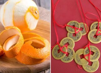 The Bedroom’s Fortune: 4 Key Items to Attract Wealth and Prosperity