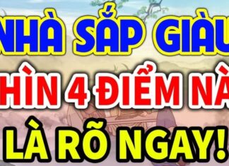 The Secret to a Prosperous Home: Unlocking the Four Key Indicators of Wealth