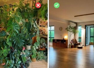 The 4 Common Vastu Shastra Mistakes in Your Living Room That Could Bring Bad Luck and Ruin Your Life