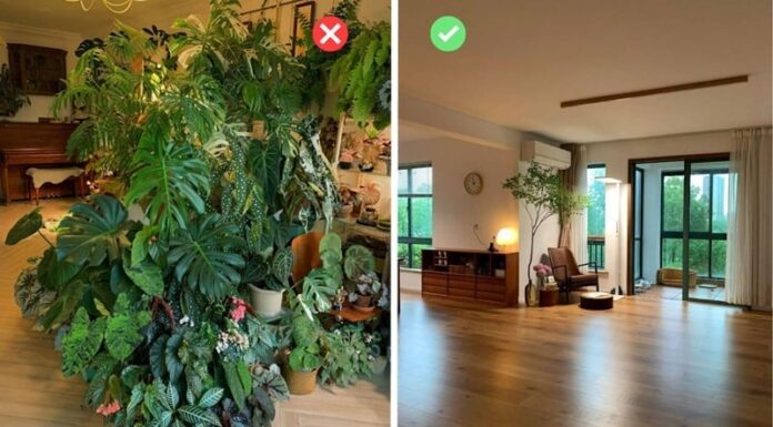 The 4 Common Vastu Shastra Mistakes in Your Living Room That Could Bring Bad Luck and Ruin Your Life