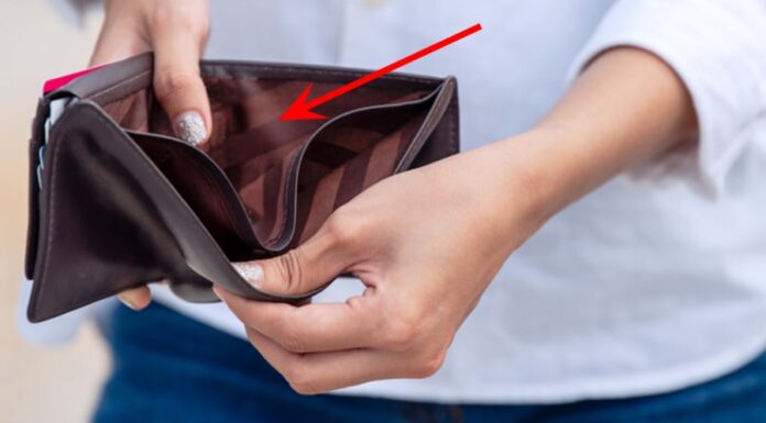 The Magic Trio for a Wealthy Wallet: Unlocking the Floodgates of Abundance