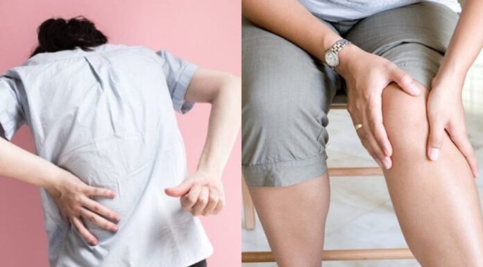 “The Secret to Aging Gracefully: 5 Foods for Strong Bones and Joints for Women Over 50”