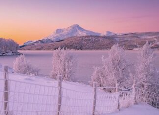 The Wise Know That the Most Precious Asset in Life is ‘These Two Words’