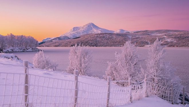 The Wise Know That the Most Precious Asset in Life is ‘These Two Words’